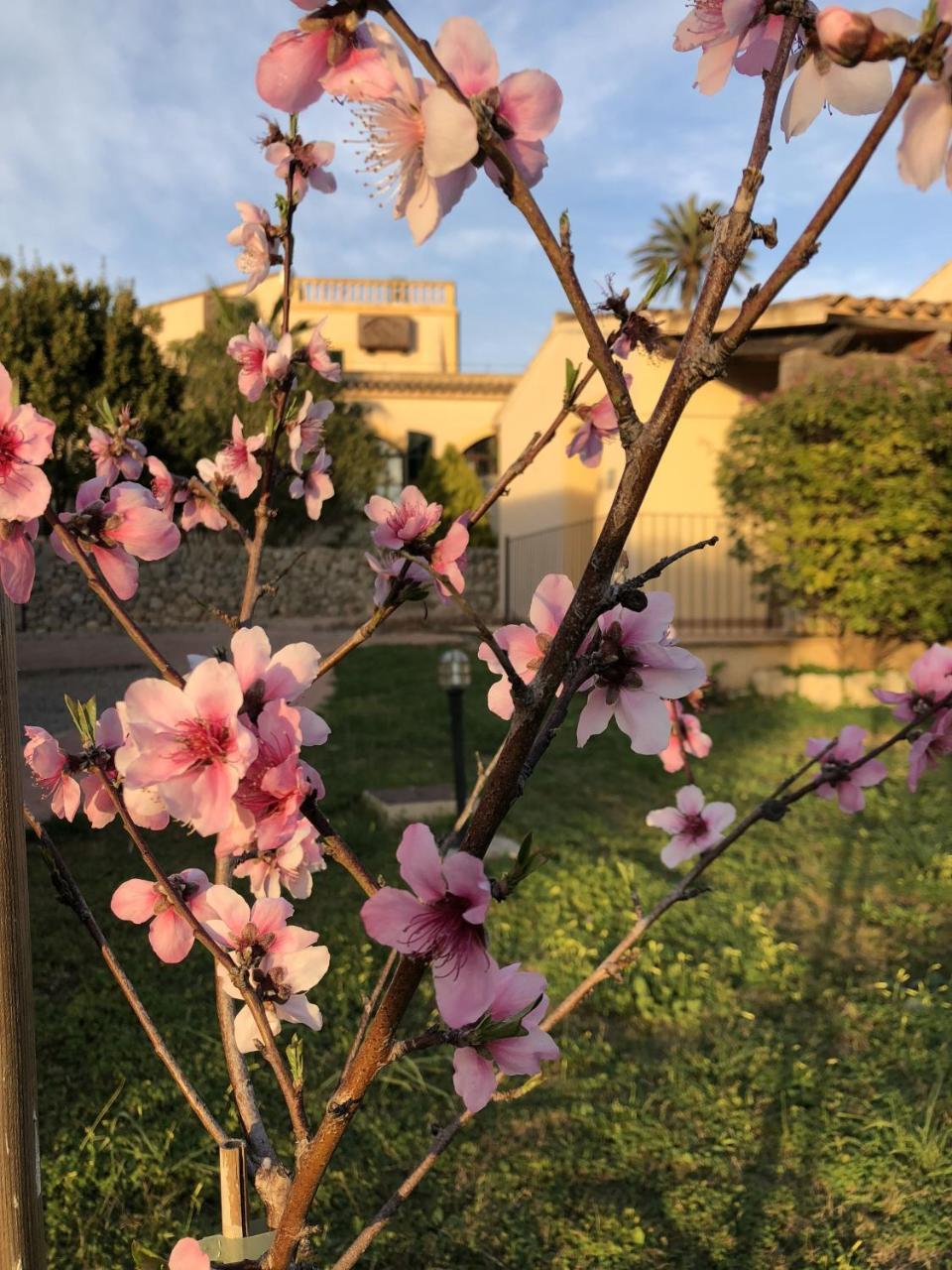 Finca Son Manera Montuiri  Zewnętrze zdjęcie
